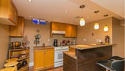 Shiny Basement For Rent