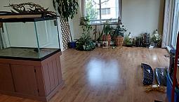 Bright Spacious 750-Square Foot 1 Bdrm Apartment In Mt Pleasant!