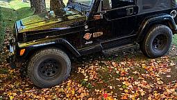 Jeep Wrangler  2 Portes À Vendre