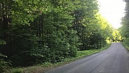 Building Lot In Muskoka