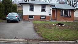 Gorgeous 4bd House, Driveway,backyard, Close To Uwo