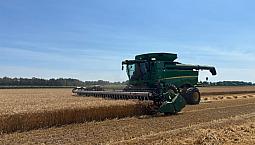 Wanted - Farm Land To Rent 