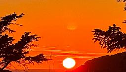 1.1 Acreage For Sale In Beautiful Bamfield Vancouver Island .