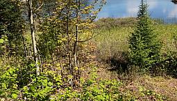 100 Acres In Magnetawan On Small Lake
