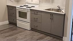 $1300 - Ground Level Bachelor Suite (studio) For Rent (surrey)