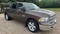 18 Ecodiesel