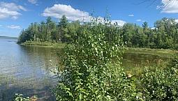 Lake Front Property (Lake George, Nb) For Sale- A Golden Find!