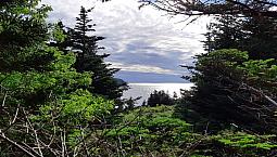 0 Trinity Road S, Turks Cove, Nl - Mls# 1249508