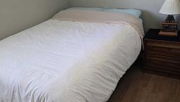 One Room Available In Guisachan. 