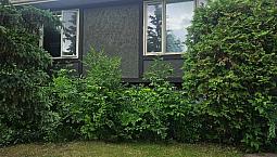 Forest Grove/Sutherland 3 Bedroom Duplex For Rent 