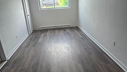 3 1/2 Bachelor Basement In Lasalle
