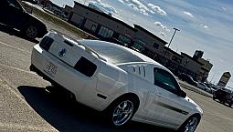 2008 Mustang Gt/Cs