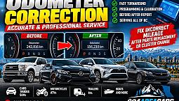 Odometer Correction & Programming   Professional