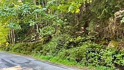 1.34 Acre Building Lot – Saturna Island
