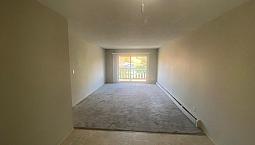 Apartment To Rent