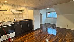 Loft Studio Apartment