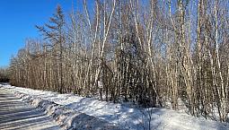2 Acres In Rusagonis