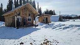 7 Remote Acres For Sale