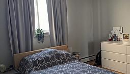 Whyte Ave 1br, Heat + Water + Parking Included