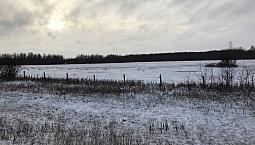 125 Acres -/+ Farm Land For Sale -Lac La Biche