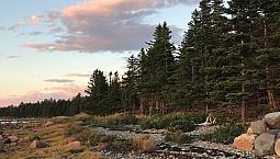 Ocean Front Lot 1.5Acre