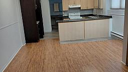 2 Bedroom Basement