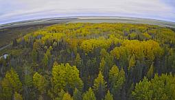  For Sale By Owner: 152 Acres Of Recreational Land