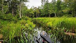 80 Acres Of Paradise 