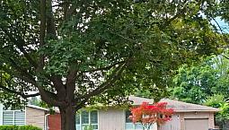 Basement  Unit With 2+1 Bedrooms For Rent