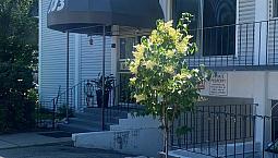 One Bedroom Apartment For Rent