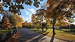 3 1/2 à Louer - Montréal - Nouveau Rosemont