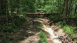 Land Share, 0.32 Ac