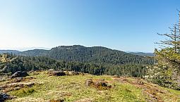 6.25 Acres - Build Your Dream Home