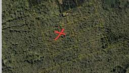 Woodlot For Sale
