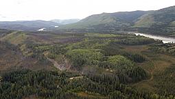 Placer Gold Claims- Lower Scroggie