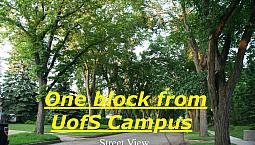 *1 Bedroom Basement Accommodation *1 Block From Campus