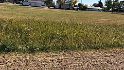 Vacant Land 