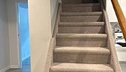 Quiet Linden Woods Suite - Ideal For Grad Students/Professionals
