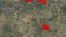 11 Quarters Of Pastureland For Sale