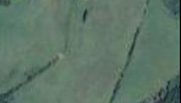 100 Acres +/-  Cleared Land