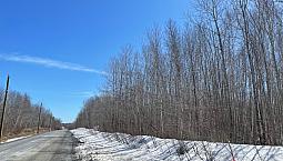 2 & 3 Acre Lots In Rusagonis!!