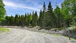 70 Acre Lot With Brand New Well, Septic & Power