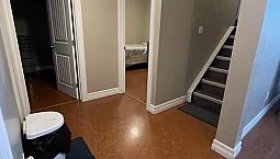 2 Bedroom Basement Apartment For Rent In Timberlea