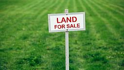 Looking For Buildable Land (1 Acre)