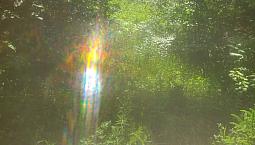 1 Acre Of Land For Sale.