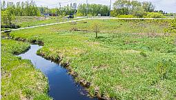 1/2 Ha Hunting Property, Rainy River, Ontario.