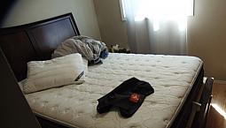 2 Bedroom Main Floor House Available For Rent 