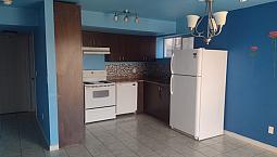 Walkout Basement In Laurel