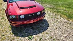 2007 Mustang Gt Premium 