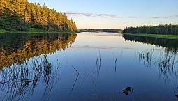 Lake + Oceanside Land On Cape Breton, Nova Scotia